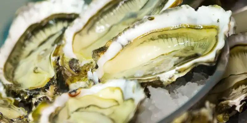 Fried abalone