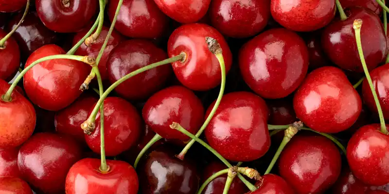 Raw acerola (west indian cherry)