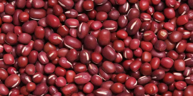 Adzuki beans