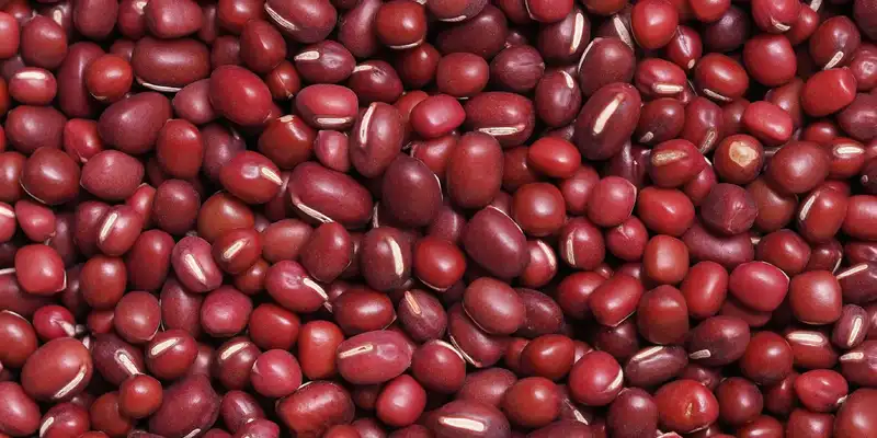 Raw adzuki beans