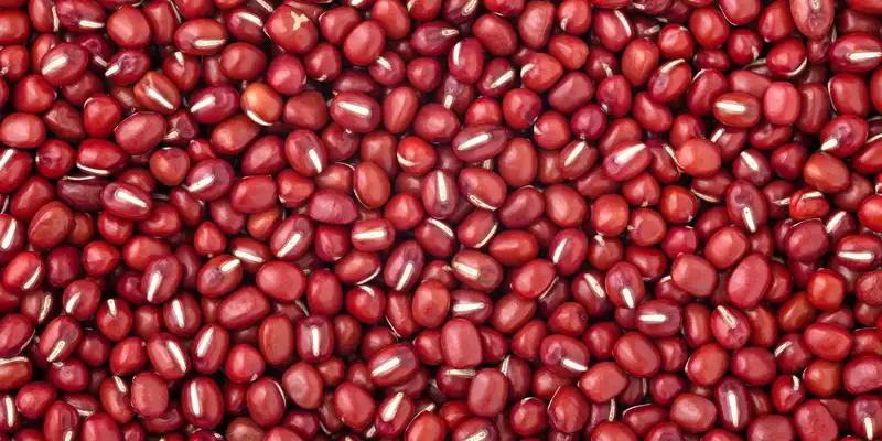 Adzuki beans (with salt)