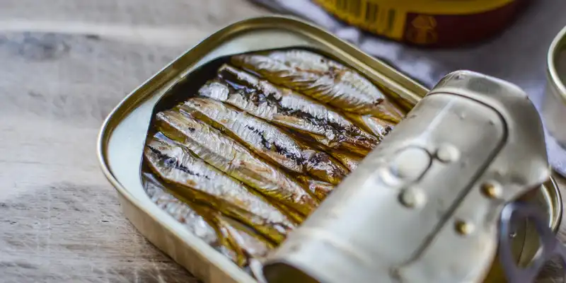 Anchois en conserve dans l'huile