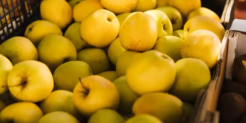 Maçã golden delicious crua