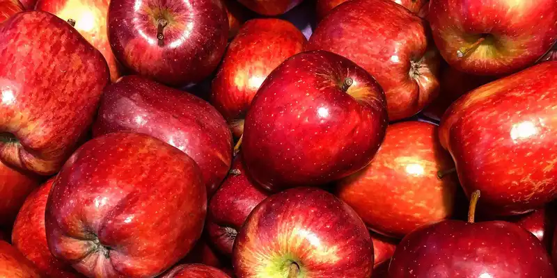 Manzana roja deliciosa cruda