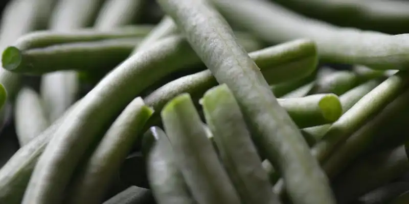 Asparagus beans