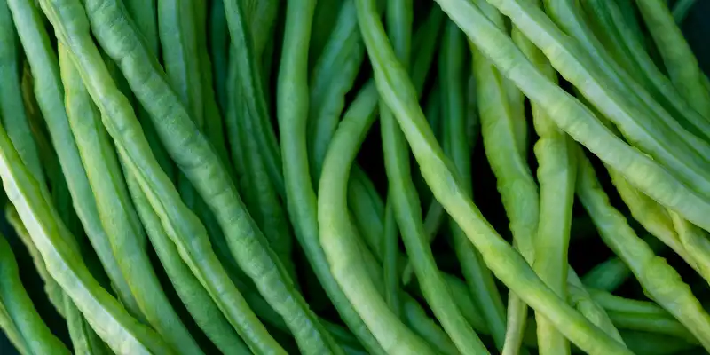 Asparagus beans (with salt)