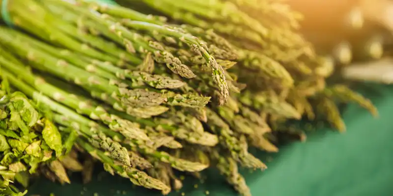 Asparagus