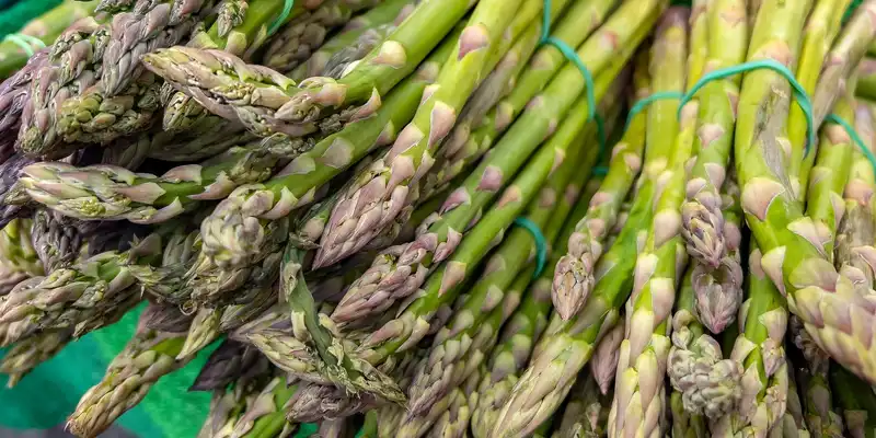 Asparagus (with salt)