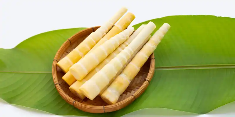 Rebentos de bambu (com sal)