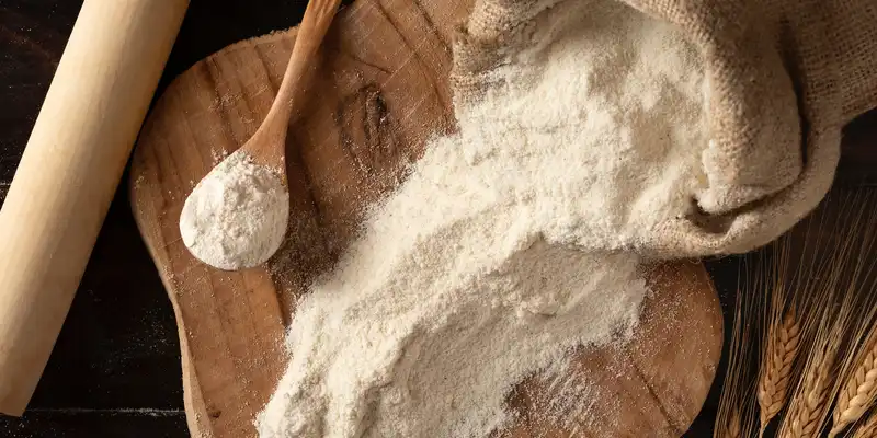 Barley malt flour