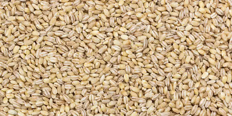 Raw hulled barley