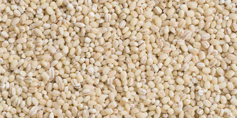 Raw pearled barley