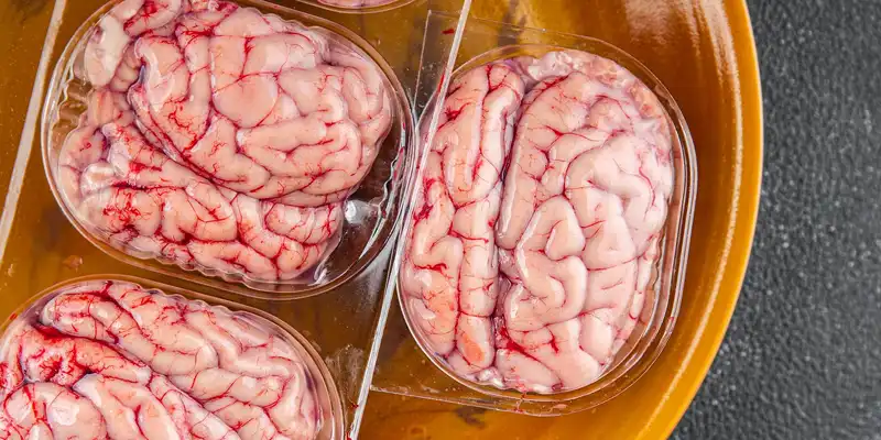 Raw beef brain