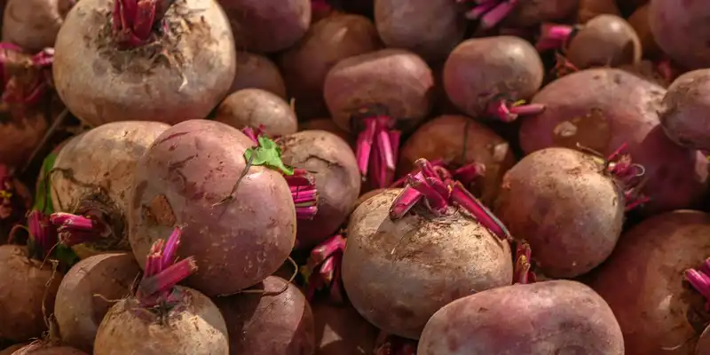 Raw beets