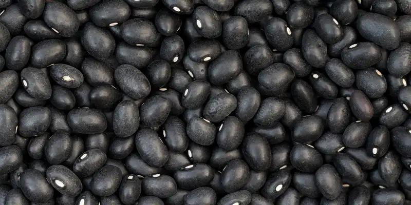 Raw black beans