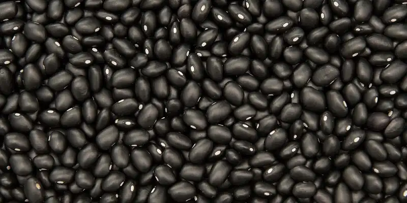 Black turtle beans