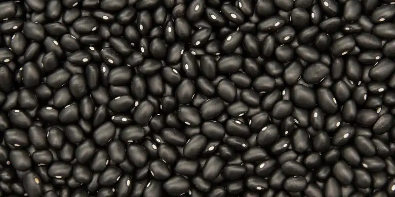 Raw black turtle beans