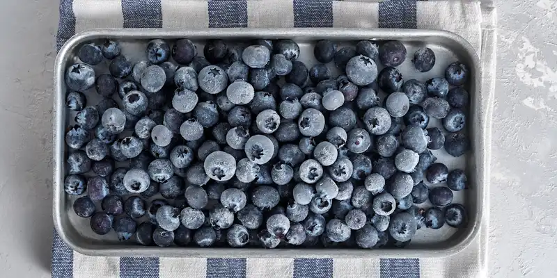 Frozen blueberry