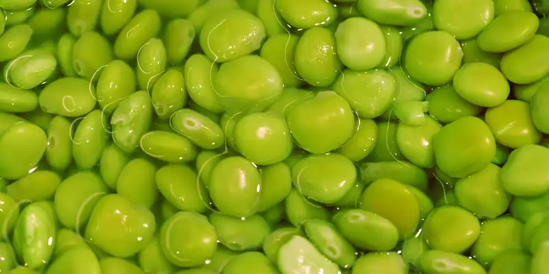 Boiled broadbeans (without salt)