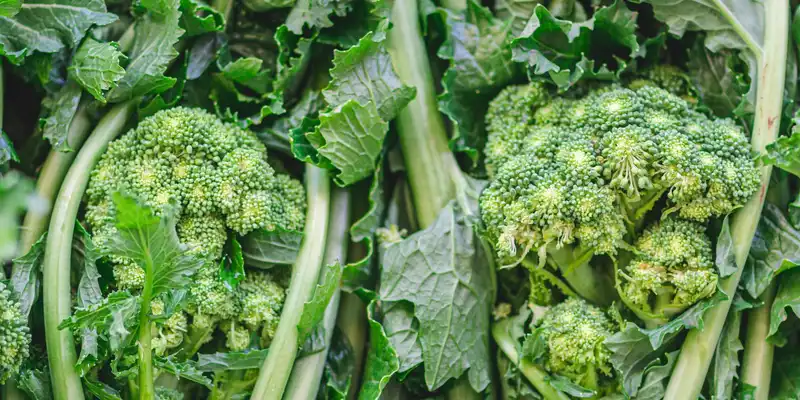 Broccoli raab