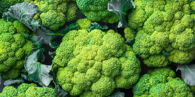 Brocoli