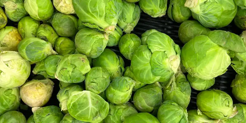 Brussels sprouts