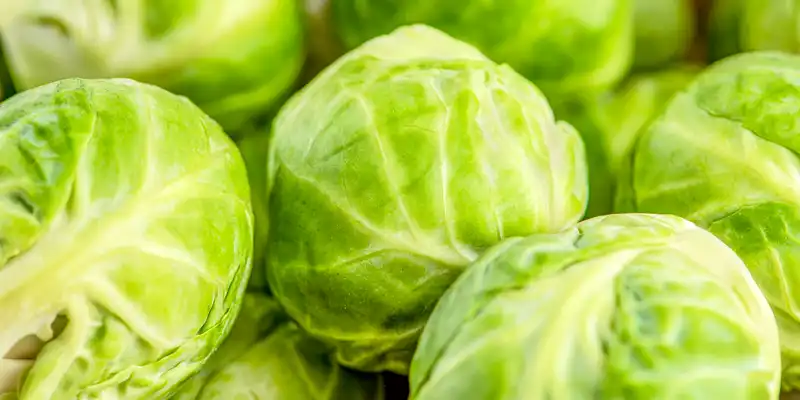 Brussels sprouts (with salt)