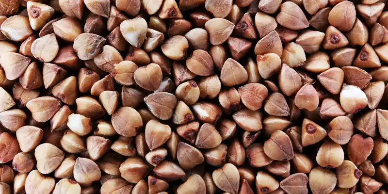 Raw  groatsbuckwheat