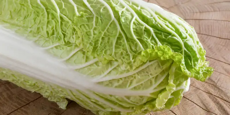 Chinese pe tsai cabbage (with salt)