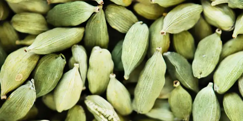 Cardamom