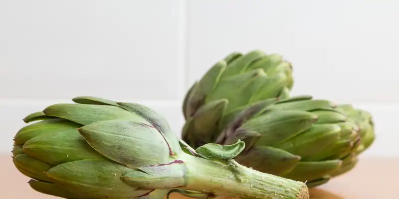 Raw cardoon