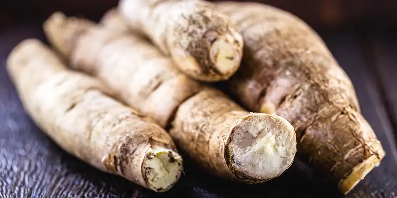 Manioc