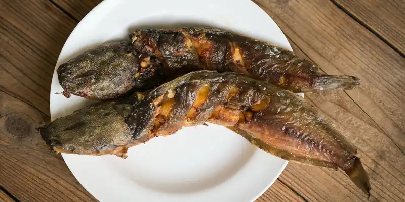 Pesce gatto del canale d'allevamento al forno o al vapore