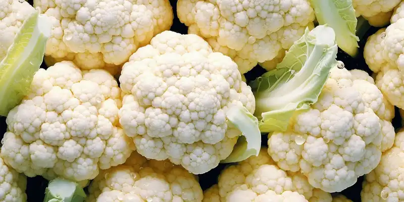 Cauliflower (with salt)