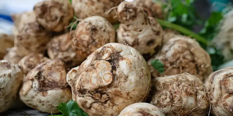 Raw celeriac