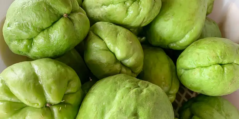 Chayote (mit Salz)