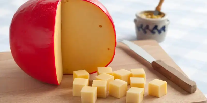 Edam cheese