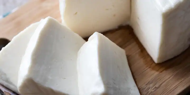 Fromage de chèvre à pâte dure