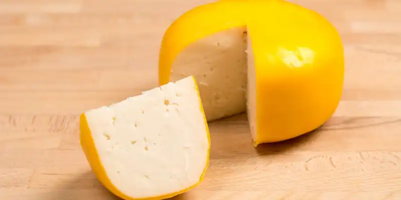 Queso gouda