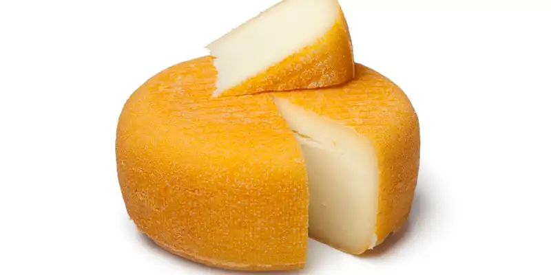 Port de salut Käse