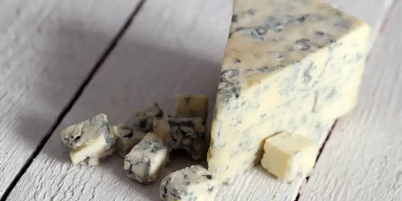 Roquefort cheese