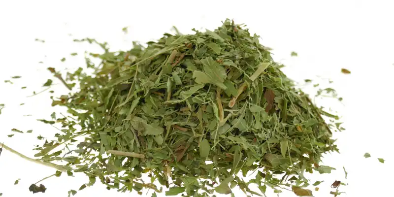 Chervil uscat