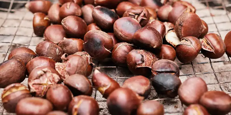 Castanhas