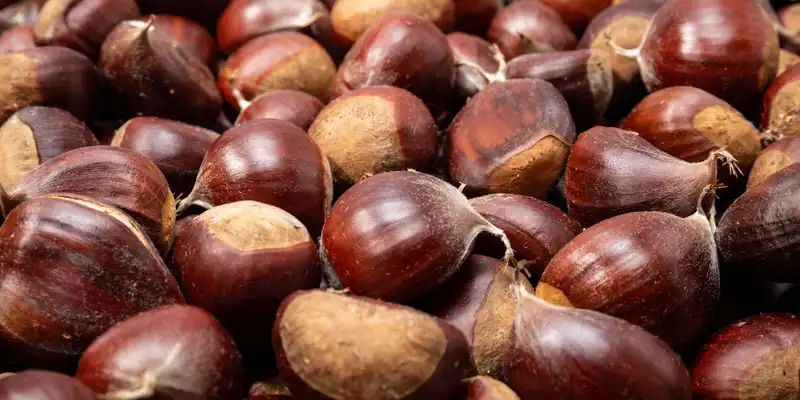 Dried european chestnuts (unpeeled)