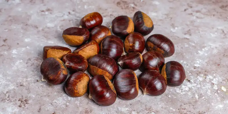 Raw japanese chestnuts