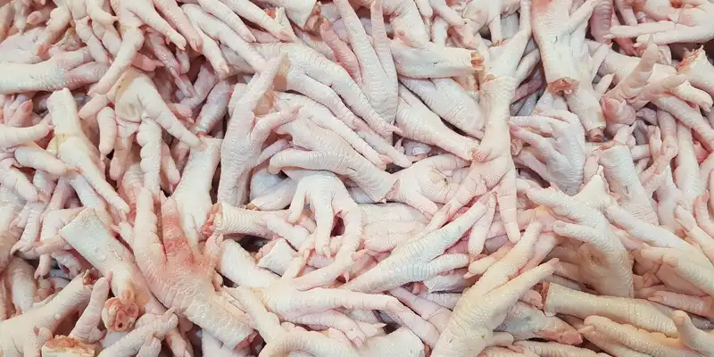 Chicken feet