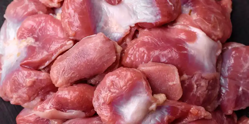 Raw chicken gizzard