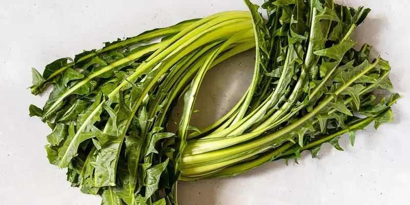 Verduras de chicória cruas