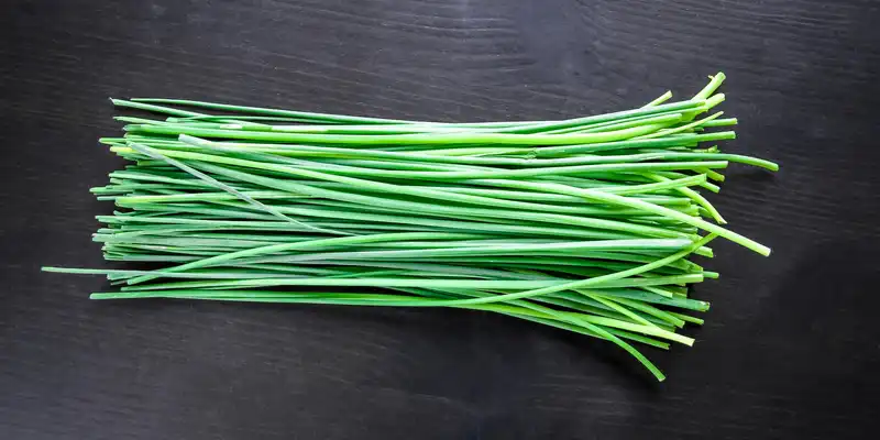 Chives