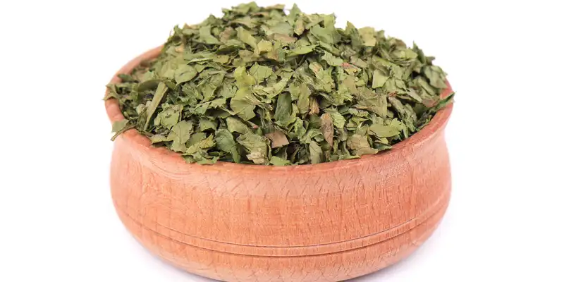 Hoja de cilantro seca